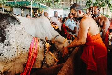JIVA Gosala