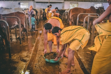 JIVA Vedic Schools